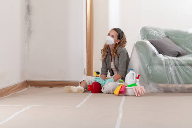Reliable Crawl Space Mold Remediation contractor in Woodstock, VA by Car Mold Remediation